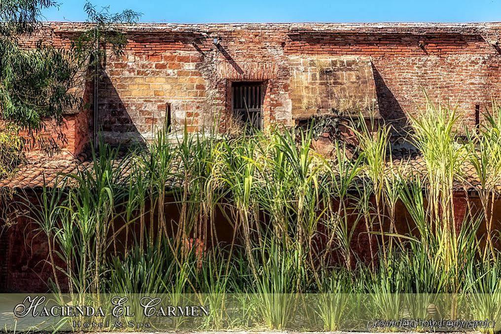 Hacienda El Carmen Hotel & Spa Teuchitlán Exterior photo