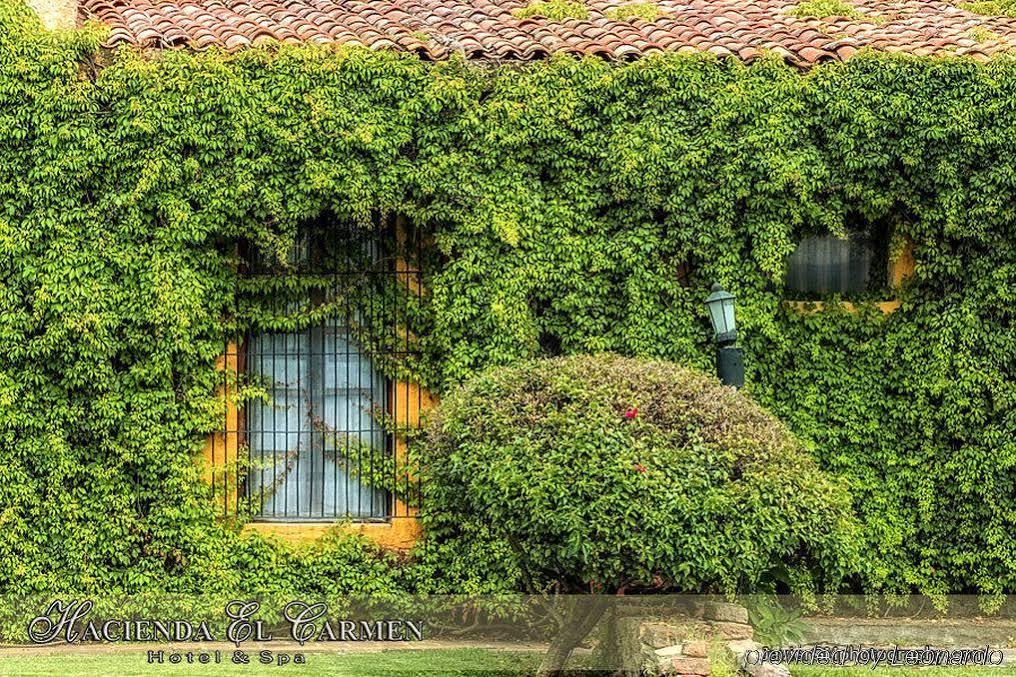 Hacienda El Carmen Hotel & Spa Teuchitlán Exterior photo